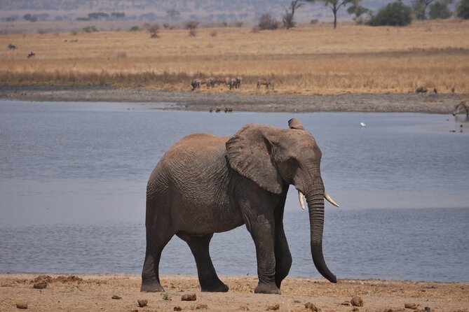 Private 5 Days Tanzania Safari - Itinerary Overview