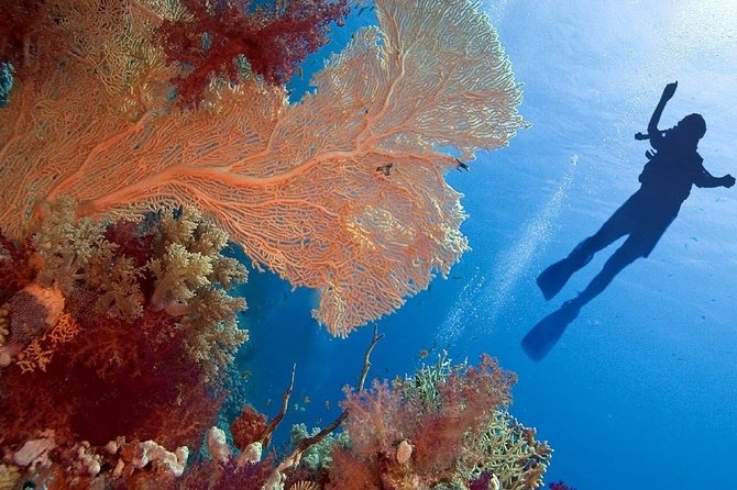 Private 7 Night Cairo, Luxor & Sharm El Sheikh - Cancellation Policy