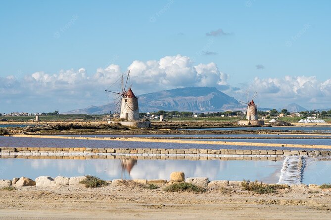 Private 8-Hours Tour to Segesta, Erice, Trapani and Salt Pans From Palermo - Accessibility Information