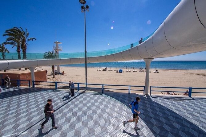 Private Alicante Shore Excursion With Castle Tour - Additional Services and Accessibility