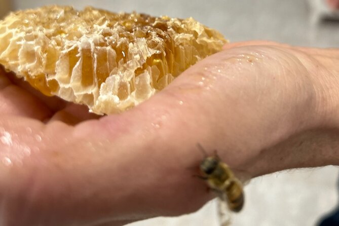Private Areti Honey Experience - Pickup Information