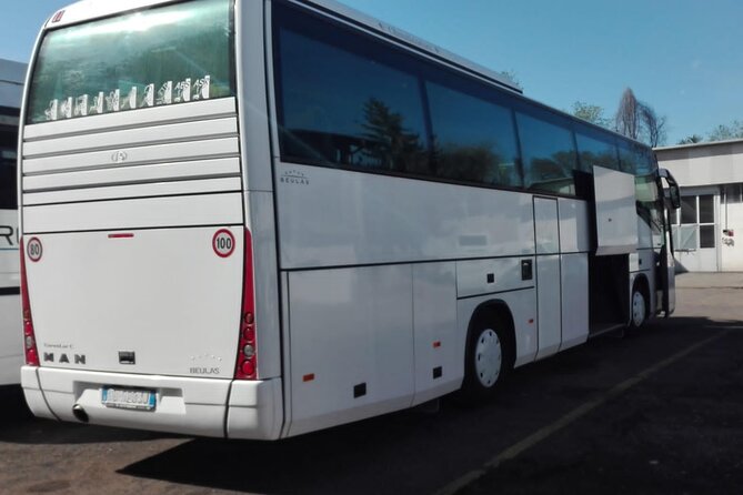 Private Bus Civitavecchia Cruise Port to Rome Hotels - Customer Experience