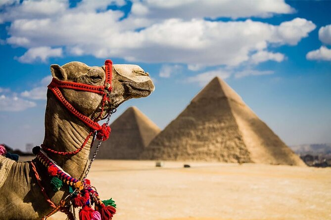 Private Cairo Tour From Hurghada With Visit to Bazaar - Refund and Change Policy