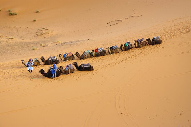Private Camel Ride Over Erg Chebbi For Sunset Or Sunrise - Reviews and Ratings
