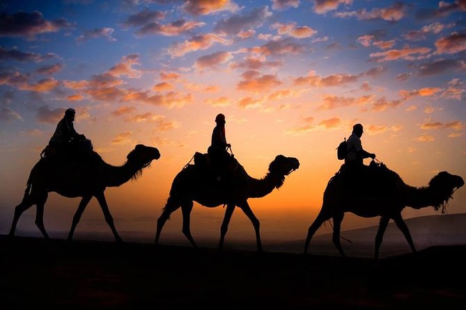 Private Camel Sunset Ride Experience in Merzouga Dunes - Price and Booking
