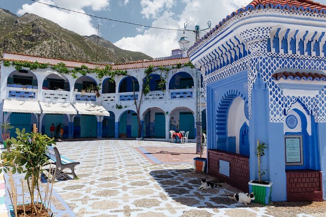 Private Day Excursion From Fez to Chefchaoun - Transportation Details