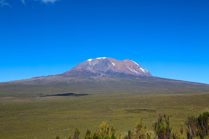 Private Day Tour and Hike in Kilimanjaro National Park - Tour Overview