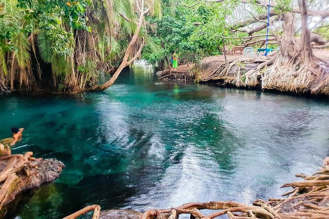 Private Day Tour in Serval Wildlife and Kikuletwa Hot Spring - Frequently Asked Questions