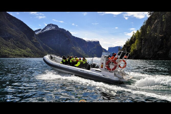 Private Day Tour to Flåm, Incl RIB Sognefjord Safari Flåm Railway - Pricing & Reservations