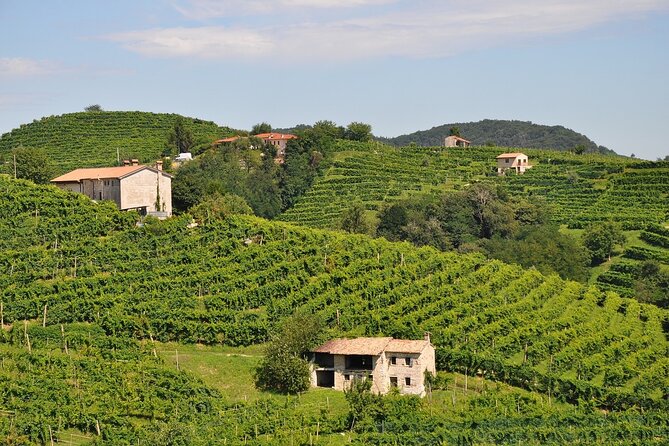 Private Day Trip From Venice To Prosecco and Miramare Castle - Reservation and Payment