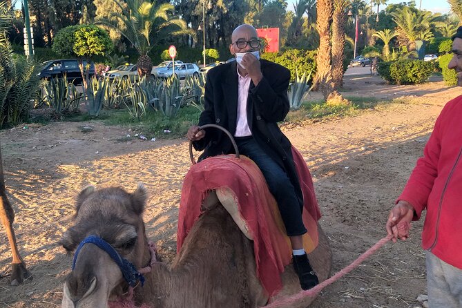 Private Day Trip to Marrakech From Casablanca - Price Details