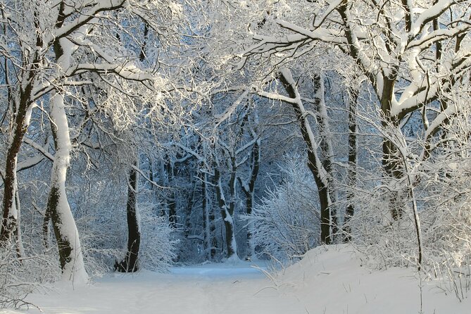 Private Day Trip to Sabaduri Forest - Additional Info