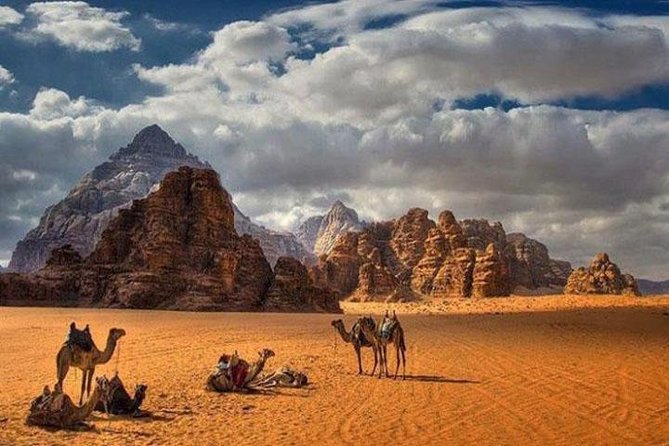 Private Full-Day Aqaba Shore Excursion to Petra and Wadi Rum - The Sum Up
