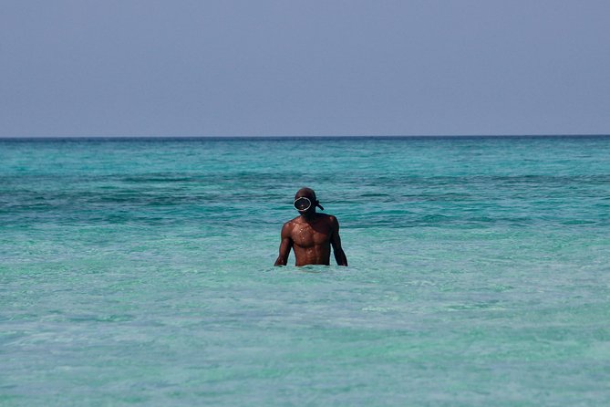 Private Full-Day Cruise on Sandbank and Kwale Island - Booking Information