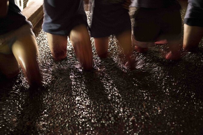 Private Full Day Douro Tour With Lunch - Tour Details
