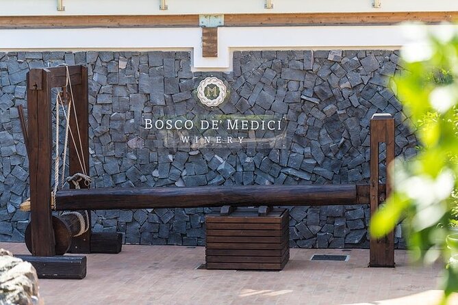 Private Full Day Tour Herculaneum Mt Vesuvio and Winery - Price and Booking