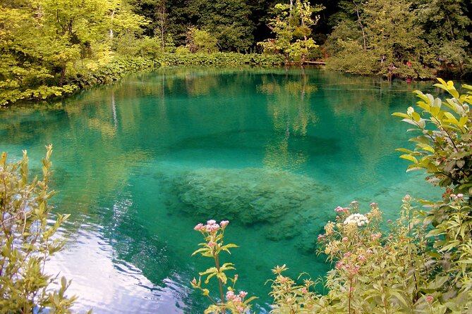 Private Full-Day Tour in Plitvice Lakes National Park From Zadar - The Sum Up