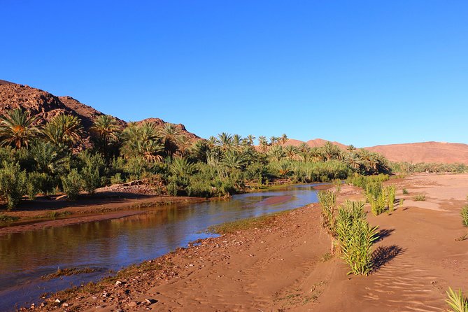 Private Full-Day Tour of Ouarzazate and Oasis Fint - Frequently Asked Questions