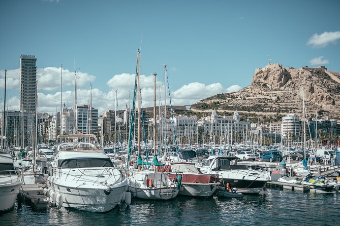 Private Full-Day Tour to Alicante From Valencia With Hotel Pick up - Pricing Information