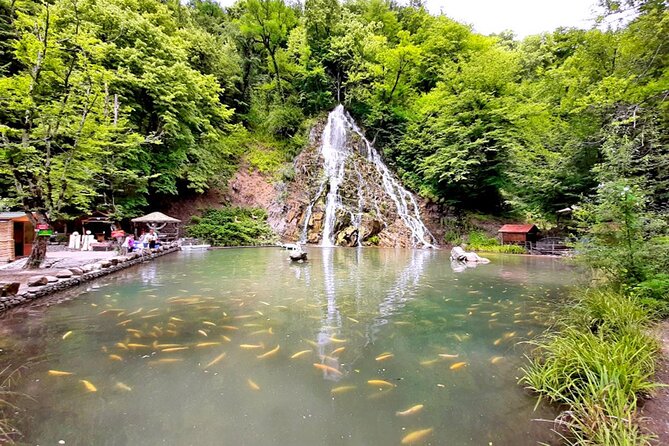Private Gabala -Tufandag Day Trip in Nature - The Sum Up