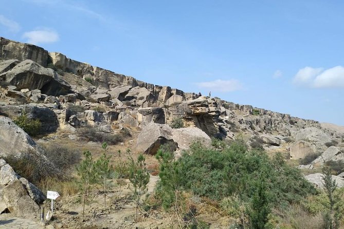 Private Gobustan Tour - Customer Reviews and Ratings