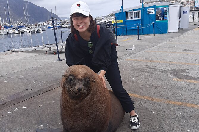 Private Guided Tour to Cape of Good Hope and Penguins Colony - Frequently Asked Questions