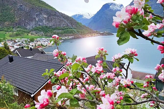 Private Guided Tour to Oslo Nærøyfjord Cruise and Flåm Railway - Cancellation Policy