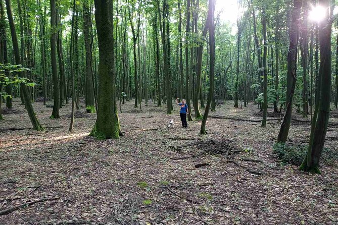 Private Guided Truffle Hunting Tour in Serbia With Brunch - Additional Information