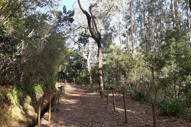 Private Guided Walk Levada Caminho Para Todos Half-Day - Booking Instructions