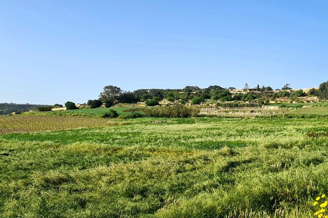 Private Half Day Tour at Marsaxlokk Island of Malta - Refund and Rescheduling Options