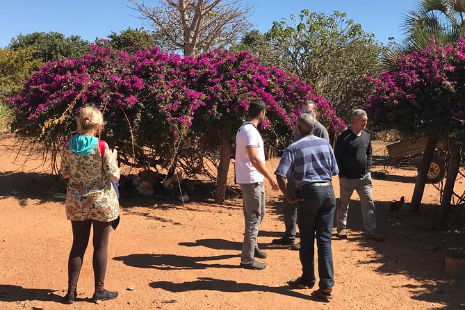 Private Half Day Tour of Rural Zimbabwe From Victoria Falls - End Point