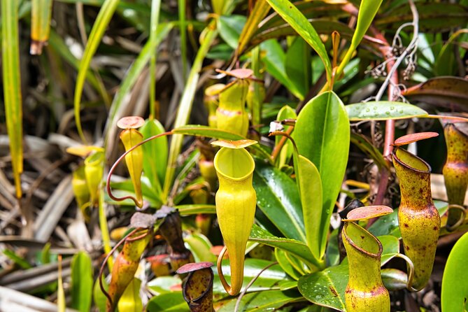 Private Hiking, Nature Trail 8 to 10 Persons - Pickup Information
