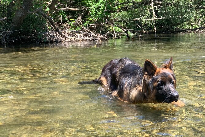 Private Horseback Riding Across River Ljuta With Transport - Price Details