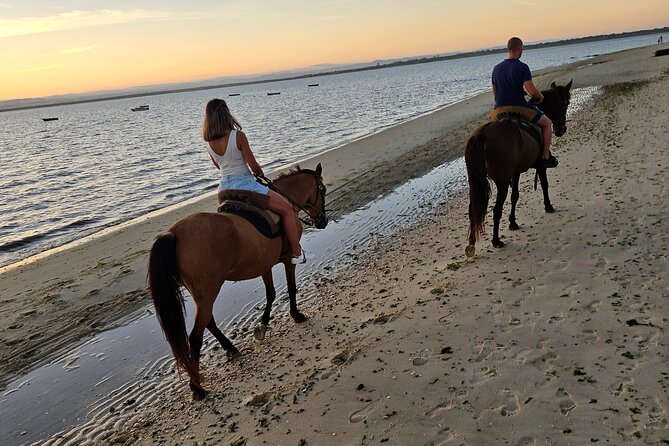 Private Horseback Riding - Booking Information Guidelines