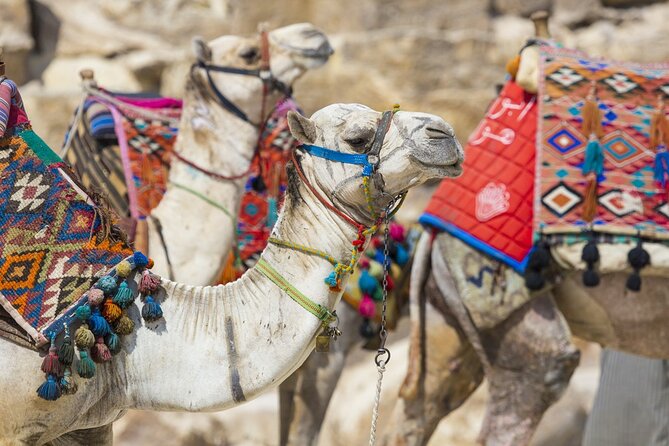 Private Luxor Highlights in Two Days Including Felucca Cruise &Horse Camel Ride - Cancellation Policy Details