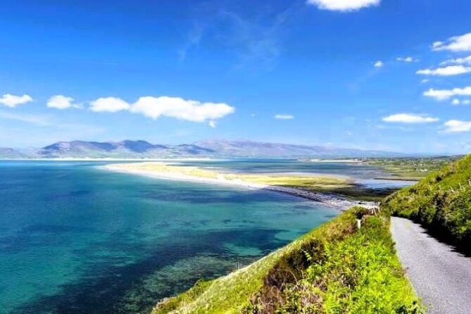 Private Luxury MPV Ring of Kerry and Skellig Ring Tour - Accessibility Information