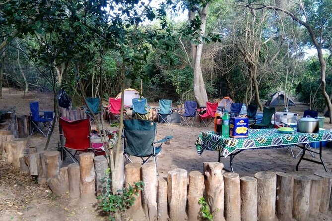 Private Maputo National Park Safari Day Tour With Pickup - The Sum Up