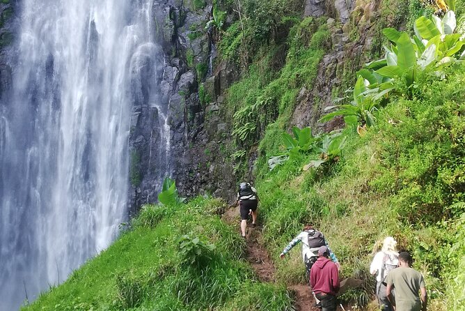 Private Materuni Waterfalls Hiking and Coffee Tour - Tour The Sum Up