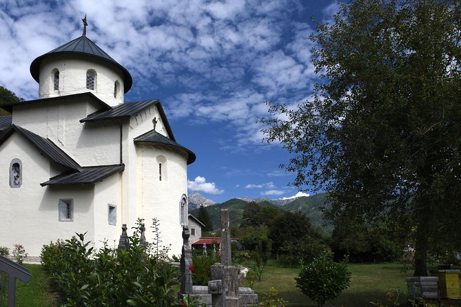 Private North Montenegro Tour -Moraca River Canyon and Walk Trough Virgin Forest - Operator Information