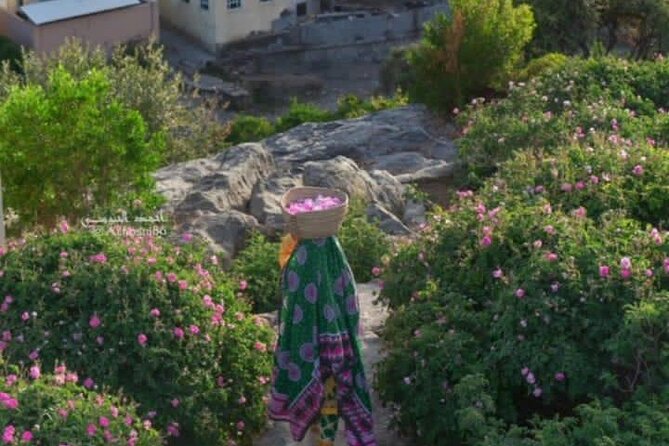 Private Oman Full Day Guided Sightseeing Tour - Price and Inclusions