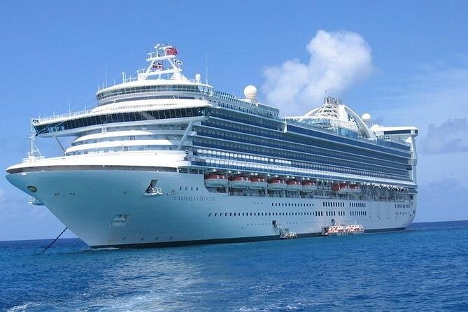 Private Petra Round Trip From Aqaba Port - Reviews