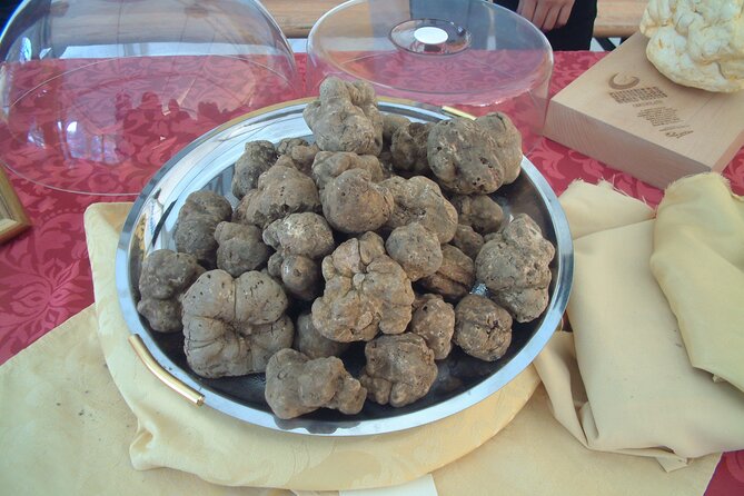 Private Photo Shooting in Florence or Tuscany (Transport Not Included) - Pricing Details