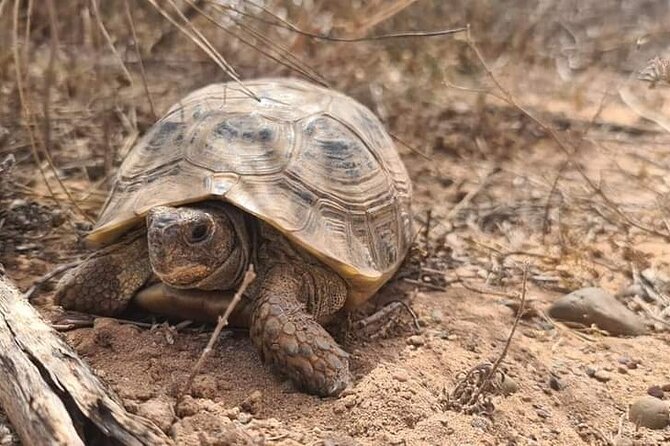 Private Safari in the National Park From Agadir and Taghazout - Customer Reviews