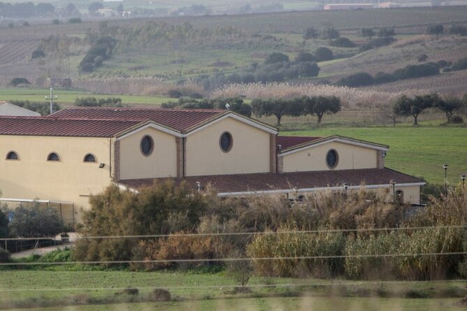Private Sardinian Wine Experience - Reviews and Recommendations