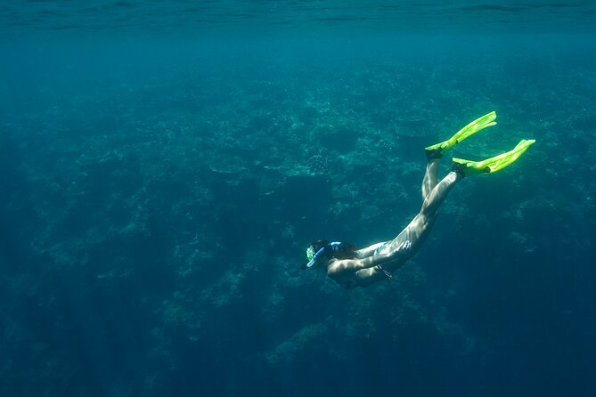 Private Snorkeling Experience in Aqaba Red Sea - The Sum Up