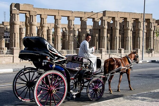 Private Sound and Light Show and Luxor City Tour by Carriage (3 * 1) - Frequently Asked Questions