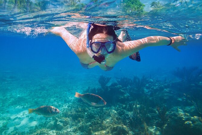 Private Speed Boat to Ile Aux Cerfs Full-Day Incl: Lunch & Transfer - Reviews