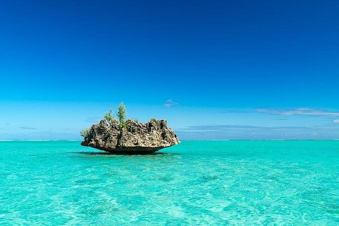 Private Speed Boat Tour and Dolphin Encounter at Ile Aux Benitier - Reservation Details