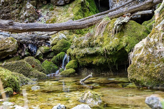 Private Tour Along the Springs Ljubljanica, River of Seven Names - Cancellation Policy