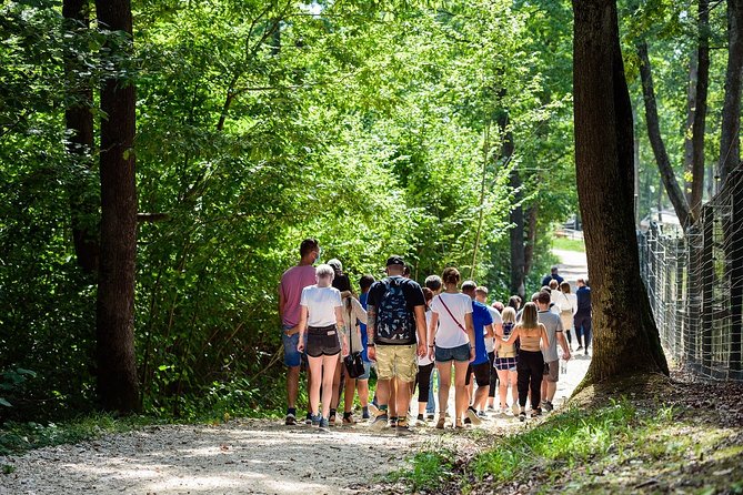 Private Tour Bear Sanctuary & City of Brasov One Day Trip - Tickets Included - Pricing and Availability